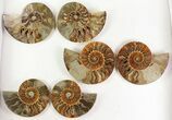 Lot: - Cut Ammonite Pairs (Grade B) - Pairs #77338-2